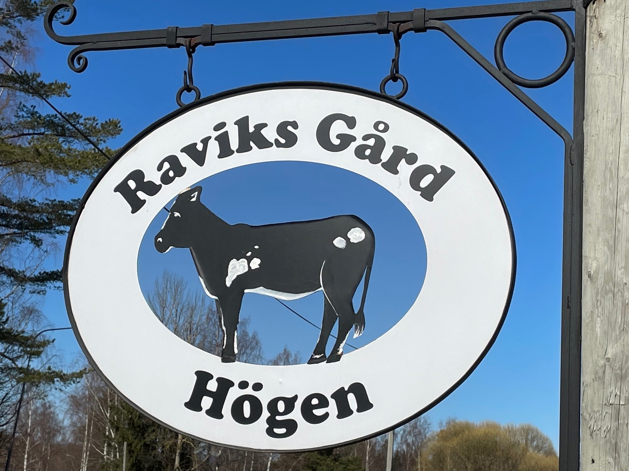 Raviks5-1