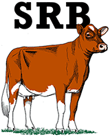srb-21_retina srb-21_retina