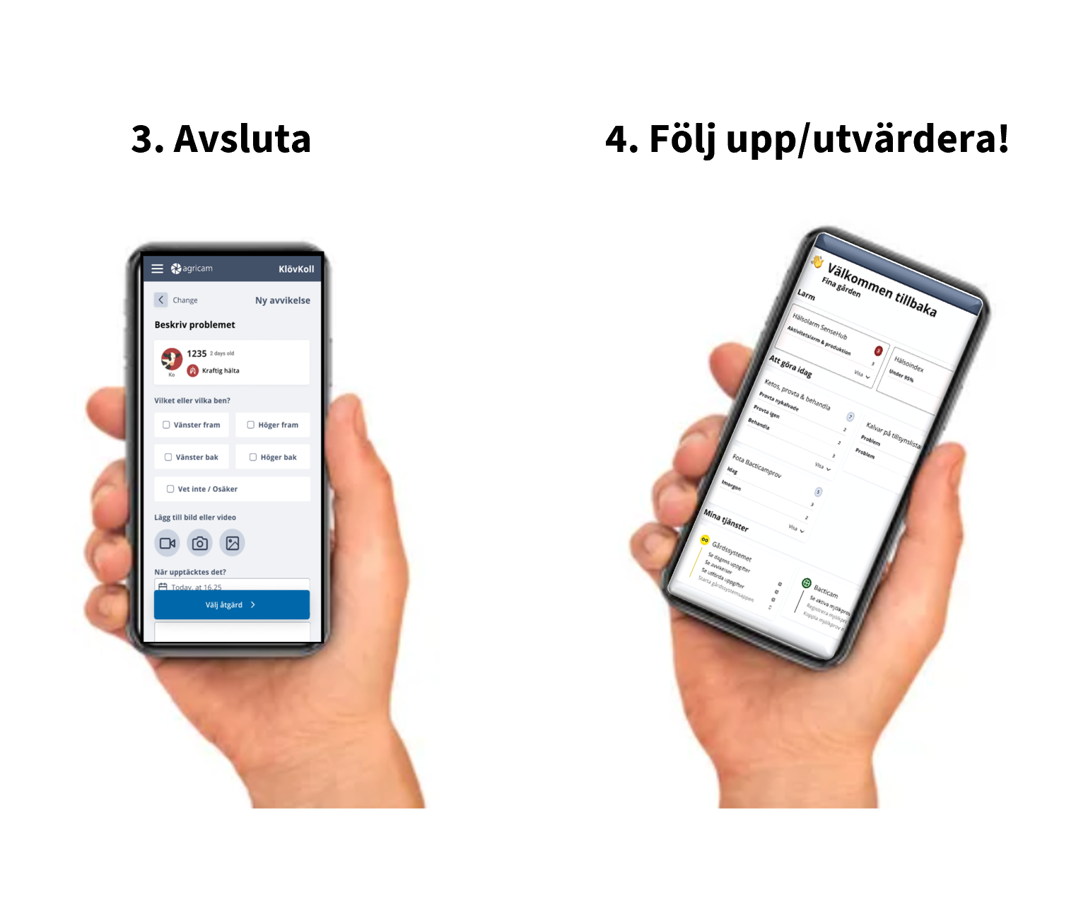 Klövkoll del 2 Klövkoll del 2